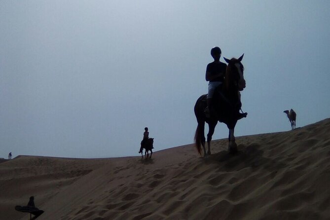 1 day horseback ride with lunch - Beach and dunes riding: why this coast feels different on horseback