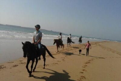 1 day horseback ride with lunch - The horses and riding level: Arabian-Barb plus separate itineraries