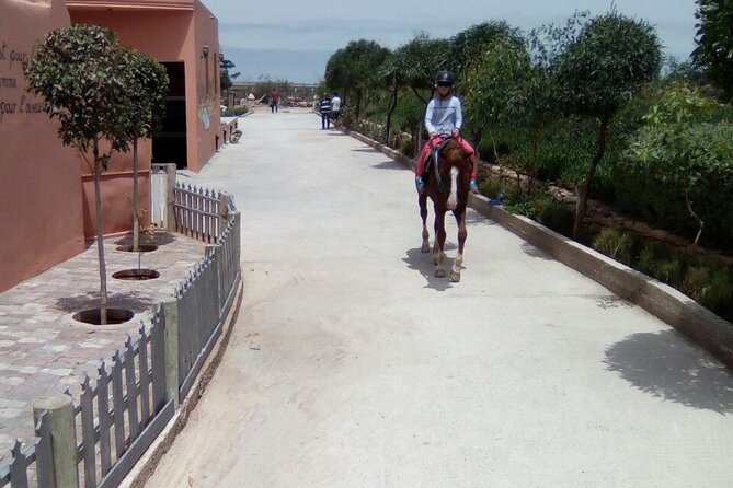 1 day horseback ride with lunch - Eucalyptus and mimosa forest: the unexpected calm break