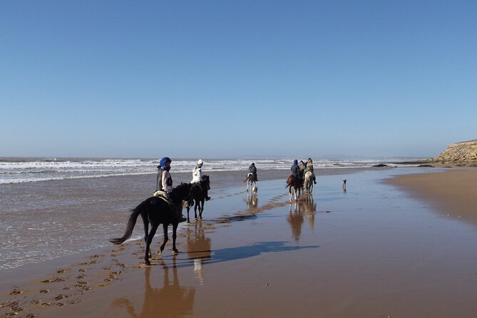 1 day horseback ride with lunch - Lunch and tea time: included, praised, and worth managing expectations