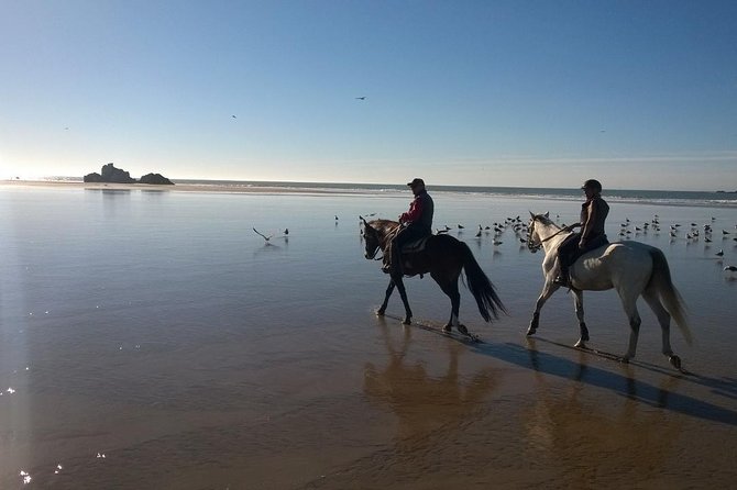 1 day horseback ride with lunch - Guides in action: what you can hope for from Brahim, Khaled, and Abdou
