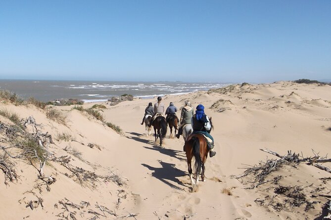 1 day horseback ride with lunch - Price and value at about $153: what you’re really paying for