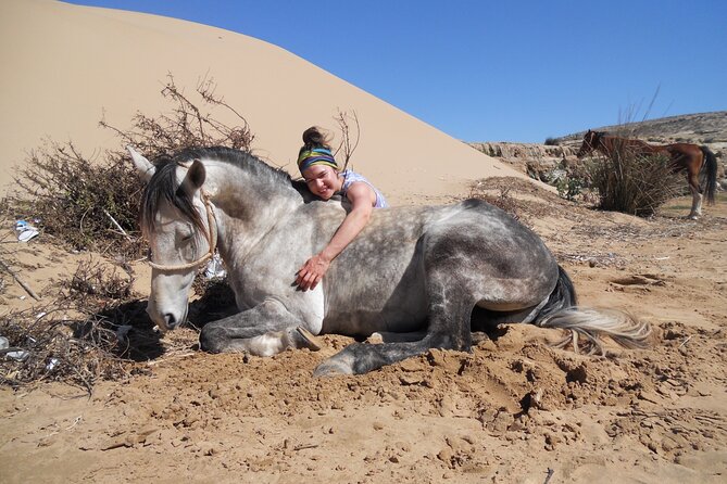 1 day horseback ride with lunch - Who should book this and who should reconsider