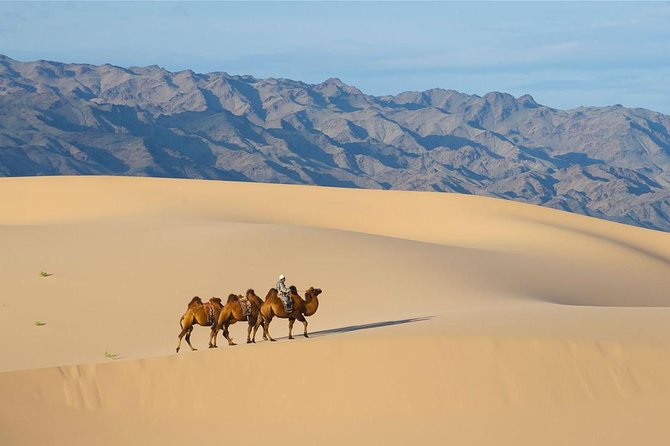 1 Day Semi-Gobi Tour with Lunch And Enjoying Camel or Horseback - Camel or Horseback Rides: Choose the Style You’ll Enjoy Most