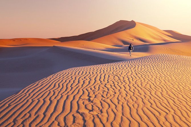 1 Day Semi-Gobi Tour with Lunch And Enjoying Camel or Horseback - Price and Value: What $138 Buys in a Private 7–9 Hour Tour
