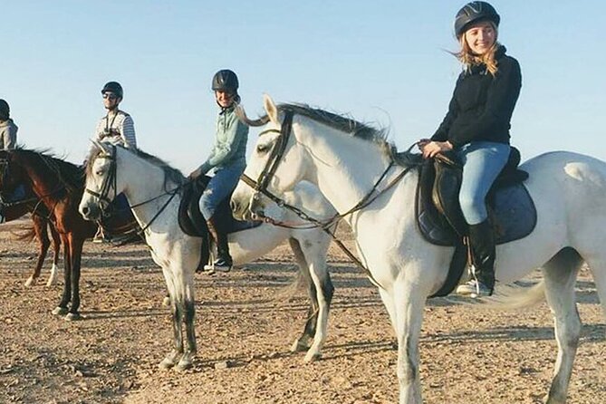 1 Hour Guided Horse Riding Activity in Sharm El Sheikh - Sinai Horse Riding From Sharm: What the Experience Feels Like