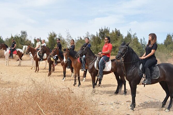 1 Hour Guided Horse Riding Activity in Sharm El Sheikh - When Photos Become an Extra Cost