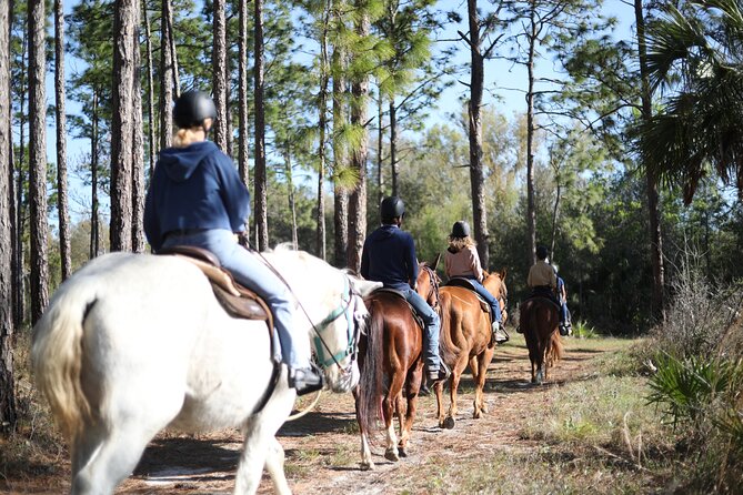 1 Hour Guided Horseback Trail Ride Rock Springs Run State Reserve - A Central Florida ride that feels wild, not manufactured
