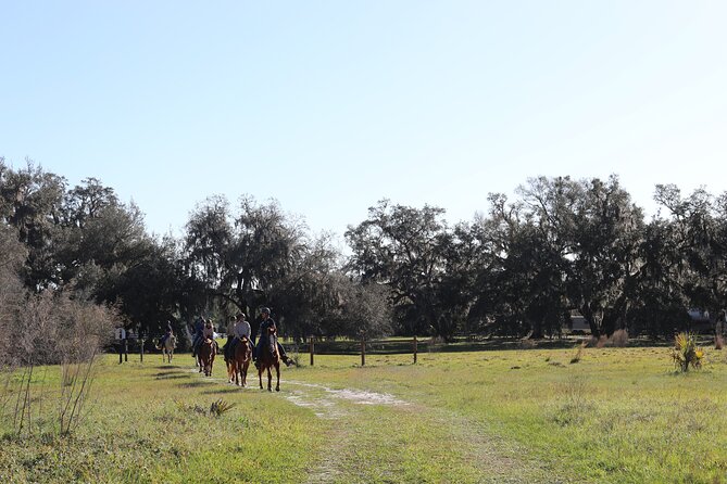 1 Hour Guided Horseback Trail Ride Rock Springs Run State Reserve - The ride itself: what you’ll see on the trail