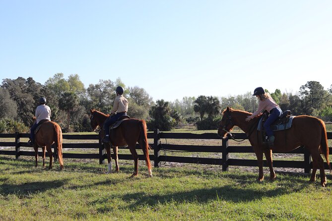 1 Hour Guided Horseback Trail Ride Rock Springs Run State Reserve - Guides and horse handling: what the strongest rides have in common
