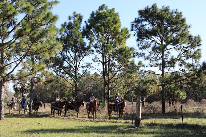 1 Hour Guided Horseback Trail Ride Rock Springs Run State Reserve - A serious animal-welfare concern you should weigh