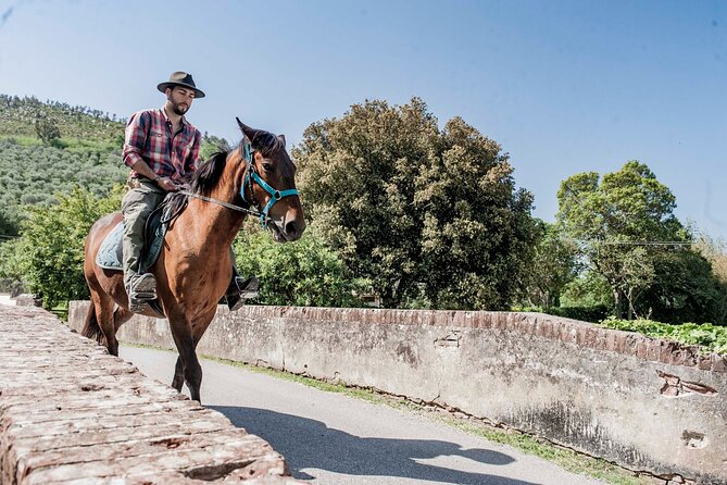 1 hour horseback ride in Valgraziosa Pisa - A 1-hour horseback ride that’s actually doable from Pisa