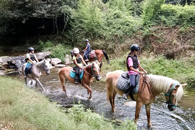 1 hour horseback ride in Valgraziosa Pisa - Certosa di Calci and the Museo Nazionale Monumentale stop