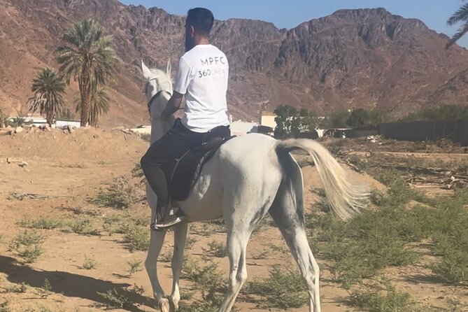 1 Hour Private Horse Riding in Madinah - Where You Meet: Finding the Stables in Al’uyun