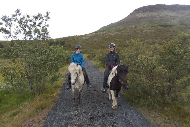 1+ hour Private Horse riding tour from Reykjavík/Mosfellsbær - Key Things I’d Prioritize