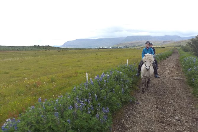 1+ hour Private Horse riding tour from Reykjavík/Mosfellsbær - Why Mt. Úlfarsfell Changes the Whole Ride