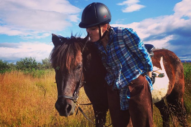 1+ hour Private Horse riding tour from Reykjavík/Mosfellsbær - What You Actually Do in the Saddle (and How Your Pace Gets Set)