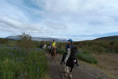 1+ hour Private Horse riding tour from Reykjavík/Mosfellsbær - Inside the Stable: Grooming, Horse Matching, and Safety First
