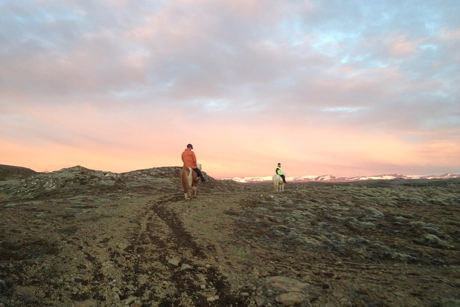 1+ hour Private Horse riding tour from Reykjavík/Mosfellsbær - Views, Gaits, and What You’ll See Around Mosfellsbær