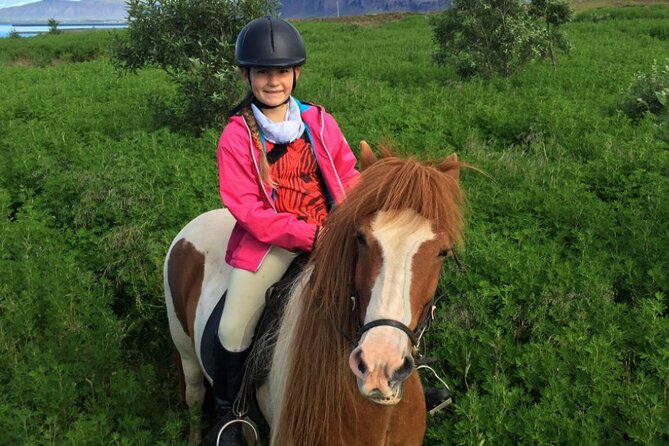 1+ hour Private Horse riding tour from Reykjavík/Mosfellsbær - Price and Value: What You’re Paying For