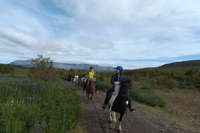 1+ hour Private Horse riding tour from Reykjavík/Mosfellsbær - Inside the Stable: Grooming, Horse Matching, and Safety First