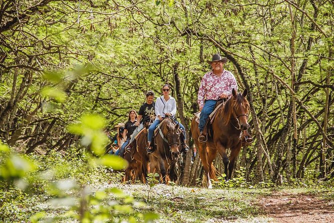 1 Hour Scenic Horseback Ride - Why This 1-Hour Ride Works So Well