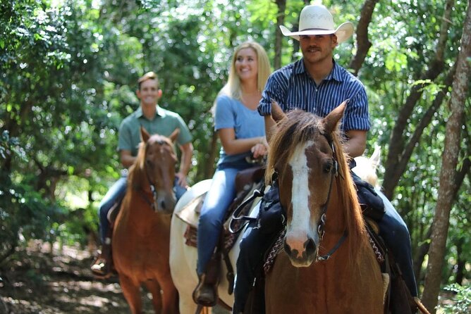 1 Hour Scenic Horseback Ride - Key Things to Know Before You Saddle Up