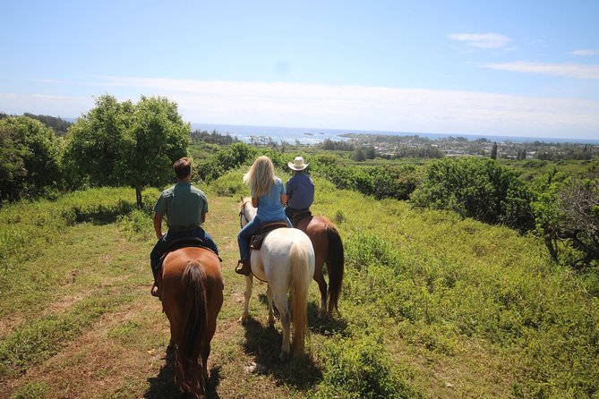 1 Hour Scenic Horseback Ride - The Main Event: Walking Through Open Pastures and Ocean Views