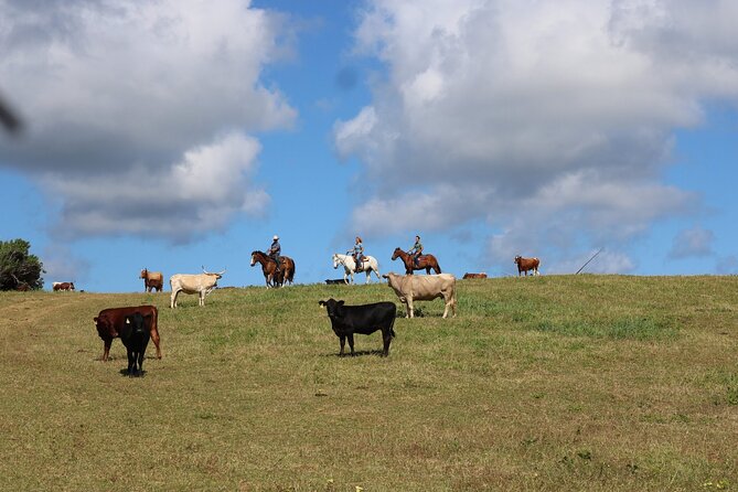 1 Hour Scenic Horseback Ride - Sunset Options and Golden-Light Riding