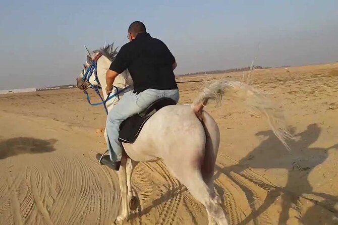 1 Hour Turkish Bath & 1 Hour Horseback Riding - Sharm El Sheikh - What You Get for $34: Transfers, Gear, and Real Spa Value