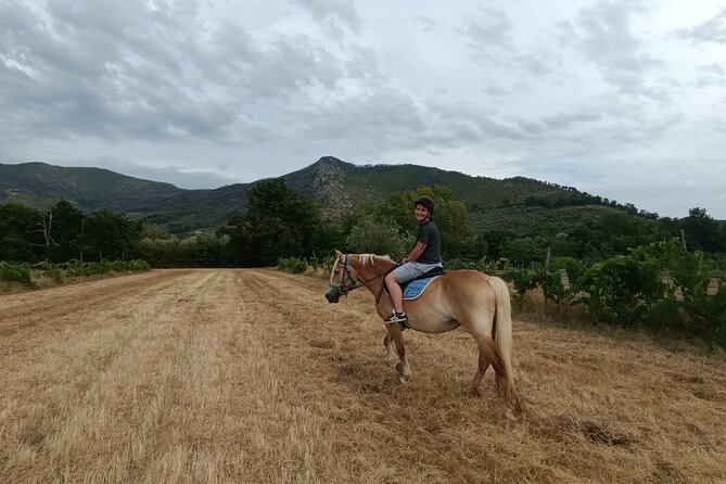 2 hour horseback ride for experts in Valgraziosa (Pisa) - The full route in plain language: stream, Upezzinghi tower, estate, sea view, Certosa di Calci