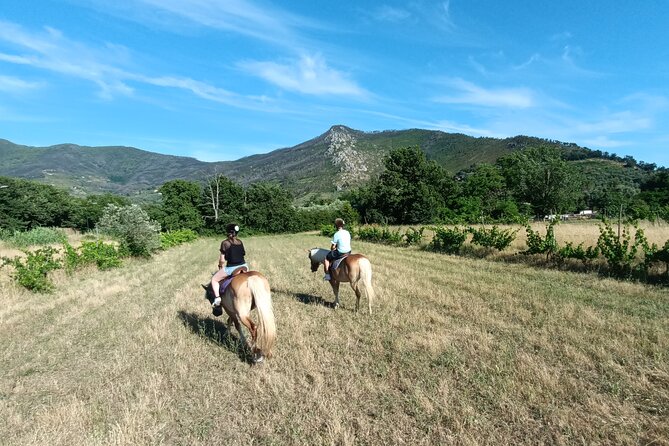 2 hour horseback ride for experts in Valgraziosa (Pisa) - Riding level: how “expert” and “English riding” show up in real life