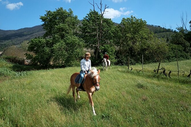 2 hour horseback ride for experts in Valgraziosa (Pisa) - Price and value: what $69.41 buys you in this small-group format
