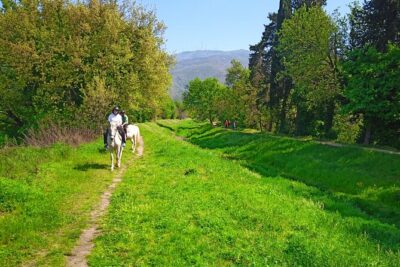 2 hour horseback ride for experts in Valgraziosa (Pisa) - Meeting at Centro Ippico La Cartuja: what helps and what to watch