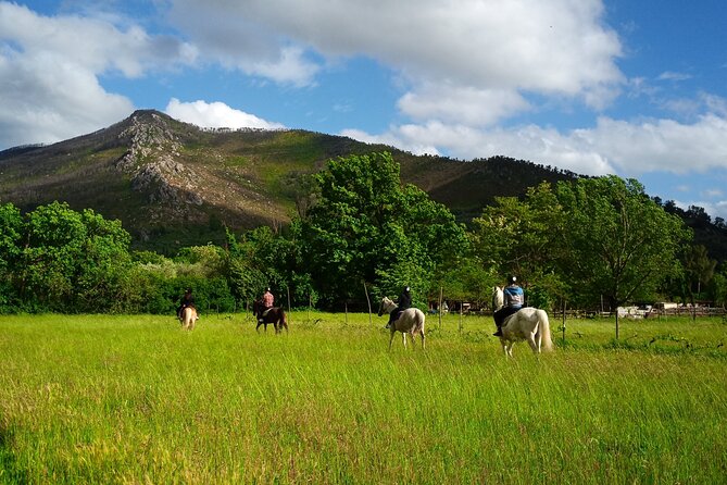 2 hour horseback ride for experts in Valgraziosa (Pisa) - What to wear: long trousers, tennis shoes, and why comfort matters more than style