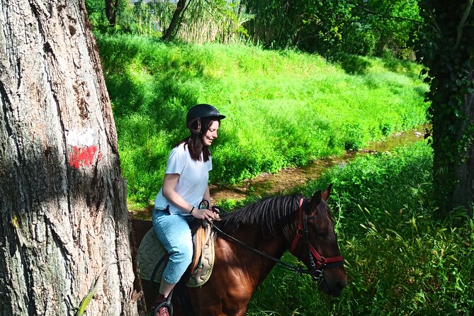 2 hour horseback ride for experts in Valgraziosa (Pisa) - Best fit: who will love this expert-focused Valgraziosa ride