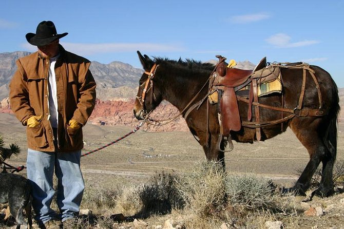 2-Hour Horseback Riding through Red Rock Canyon - The wranglers: the difference between a nice ride and a great one