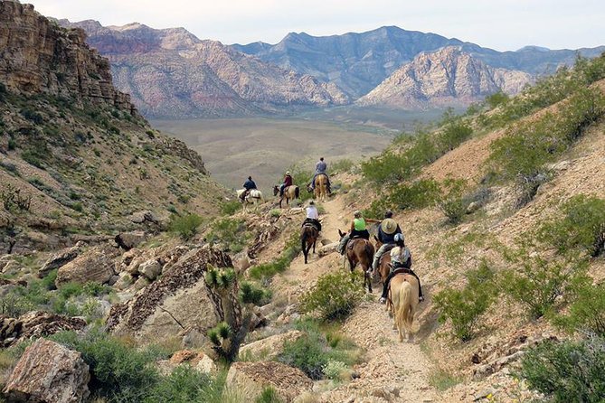 2-Hour Horseback Riding through Red Rock Canyon - The bottom line: is this a good value for Las Vegas?