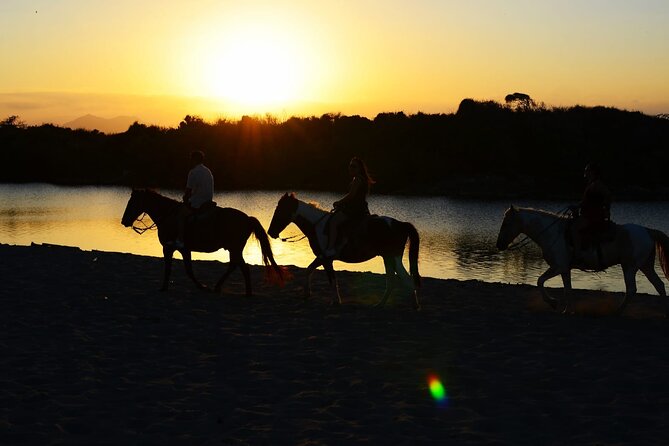 2-Hour Horseback Riding Tour at Sunset from Punta Cana - Key things that make this sunset ride worth your time