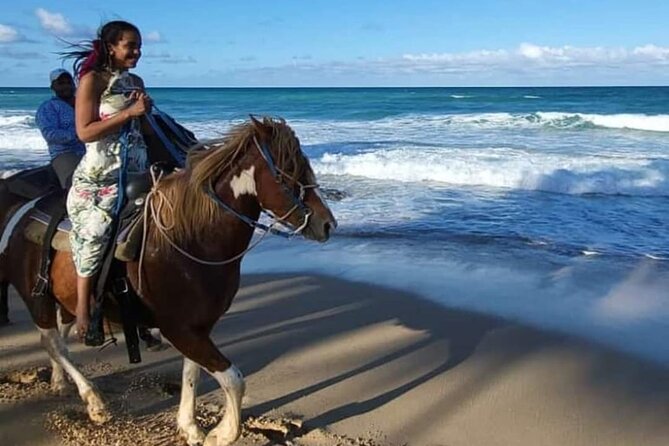 2-Hour Horseback Riding Tour at Sunset from Punta Cana - The guide team and horse care: what safety feels like in practice