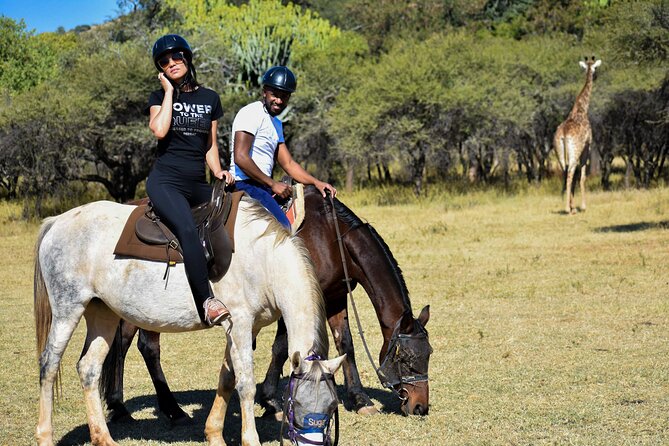 2-Hour Horseback Safari in Hartbeespoort - Key things to know before you ride