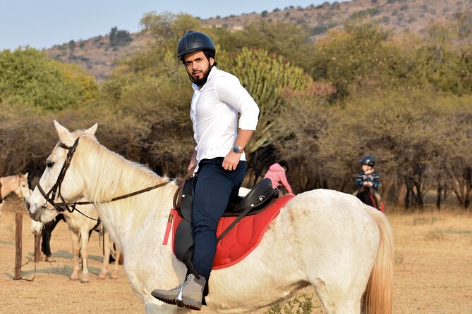 2-Hour Horseback Safari in Hartbeespoort - Silkaatsnek Nature Reserve: the wildlife you’re likely to see from horseback