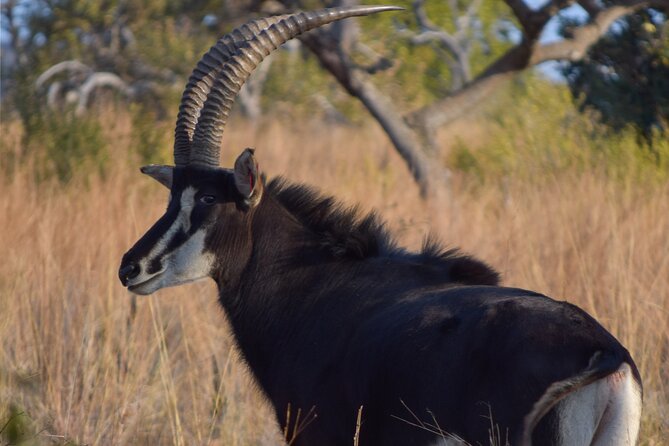 2-Hour Horseback Safari in Hartbeespoort - Meeting point and location: finding Harties on the R511