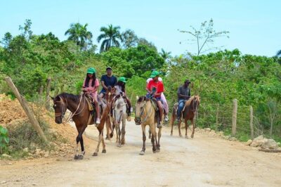 2-hour sunset horseback ride from Punta Cana - Meet the Team: Equipment, English Support, and Safety Feel
