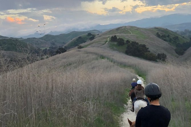2 Hour Wildflower Horseback Trail Ride experience in Agoura Hills - Key highlights you should care about
