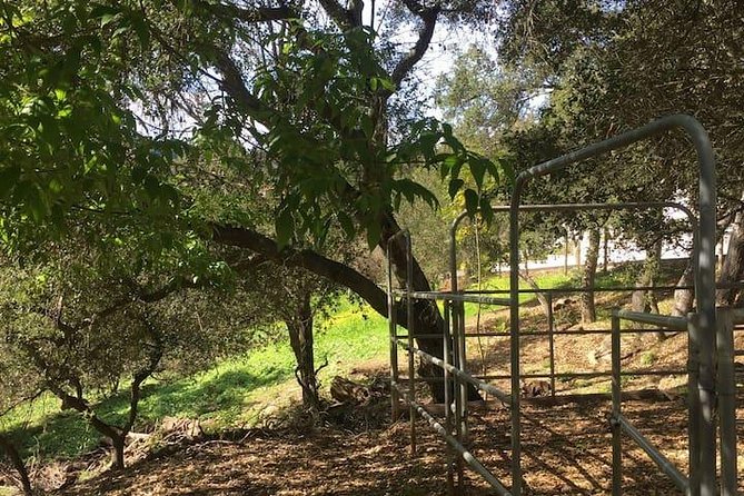 2 Hour Wildflower Horseback Trail Ride experience in Agoura Hills - What you should wear and bring for easy mounting and comfort