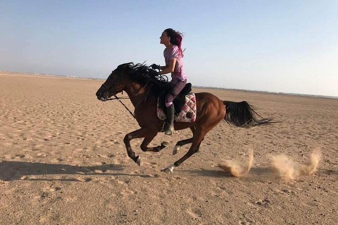 2 Hours Horse Riding Adventure in The Sea & Desert - Hurghada - Sea and Desert on One Ticket in Hurghada