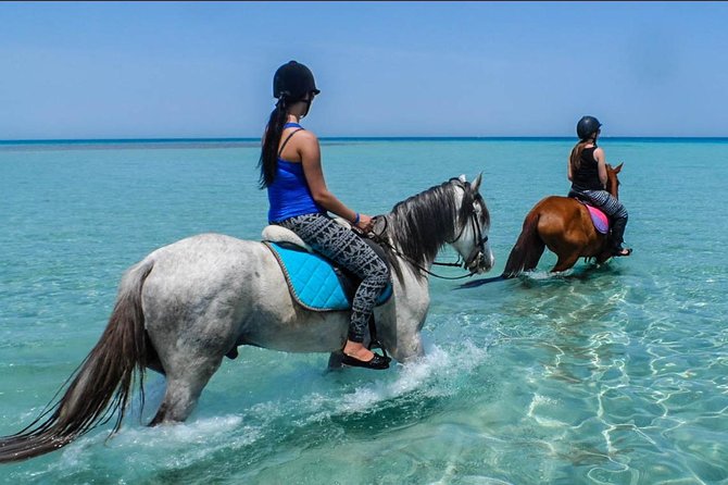 2 Hours Horse Riding Adventure in The Sea & Desert - Hurghada - The First Hour: Horseback Along the Red Sea