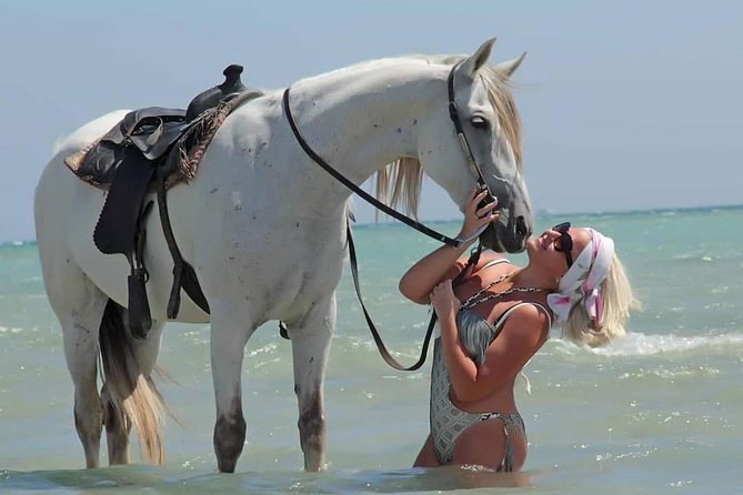 2 Hours Horse Riding Adventure in The Sea & Desert - Hurghada - Getting There: Pickup, Stables, and the “Side-of-Road” Reality