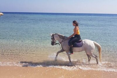 2 Hours Horse Riding Adventure in The Sea & Desert - Hurghada - The Second Hour: Dunes, Bedouin-Style Vibes, and (Maybe) Camel Time